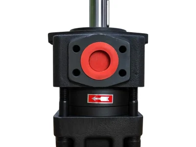 nbl mp